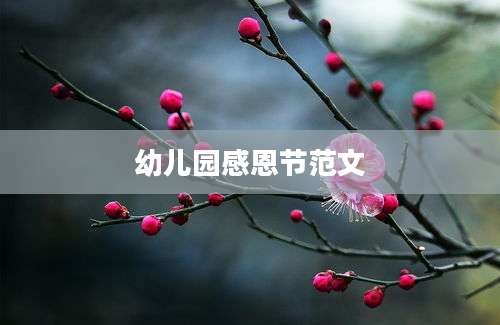 幼儿园感恩节范文
