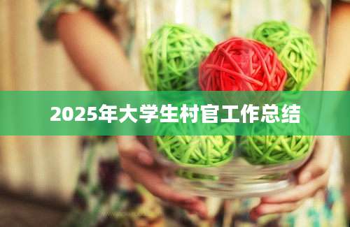2025年大学生村官工作总结