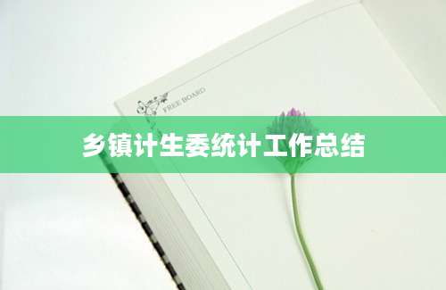 乡镇计生委统计工作总结