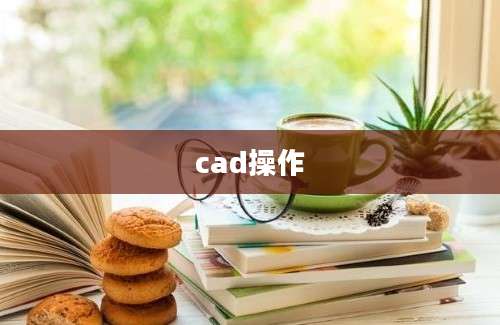 cad操作