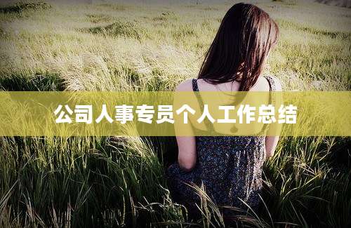 公司人事专员个人工作总结