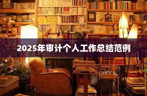 2025年审计个人工作总结范例