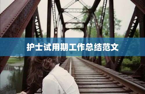 护士试用期工作总结范文
