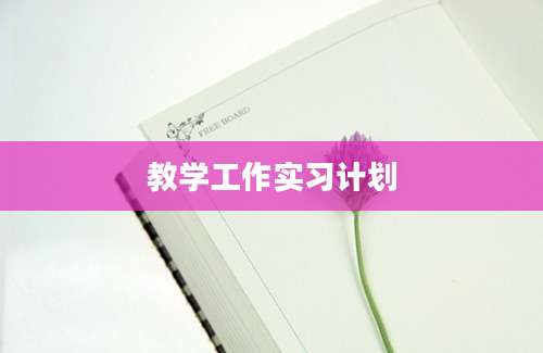 教学工作实习计划