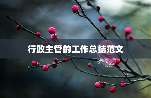 行政主管的工作总结范文