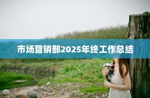 市场营销部2025年终工作总结