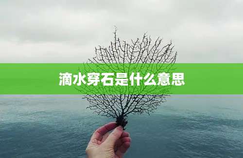滴水穿石是什么意思