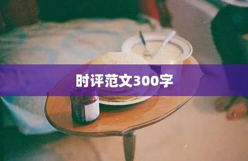 时评范文300字