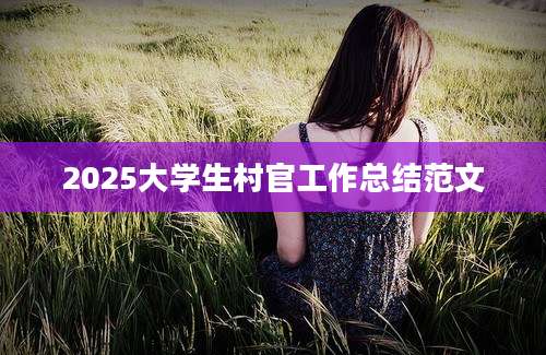 2025大学生村官工作总结范文