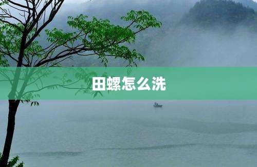 田螺怎么洗