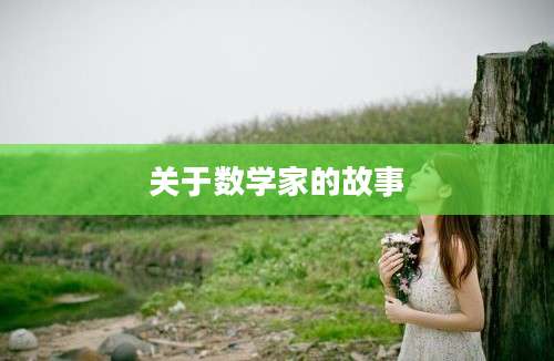 关于数学家的故事