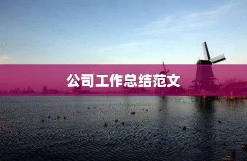 公司工作总结范文