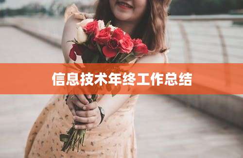 信息技术年终工作总结