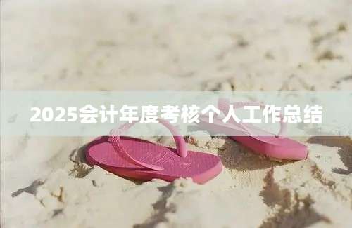 2025会计年度考核个人工作总结
