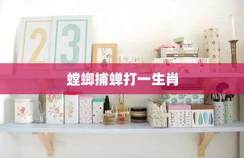 螳螂捕蝉打一生肖