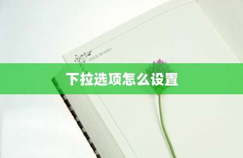 下拉选项怎么设置