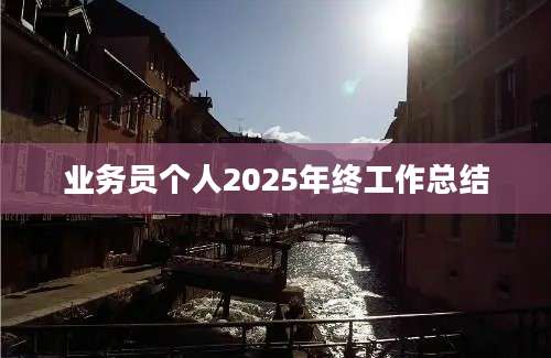 业务员个人2025年终工作总结