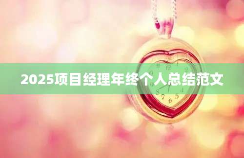 2025项目经理年终个人总结范文
