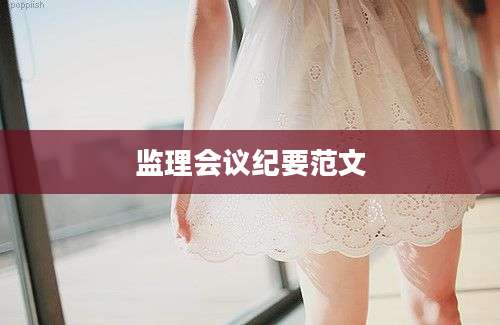 监理会议纪要范文