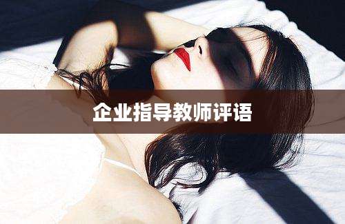 企业指导教师评语