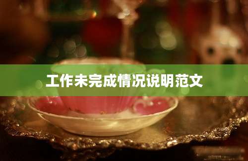 工作未完成情况说明范文