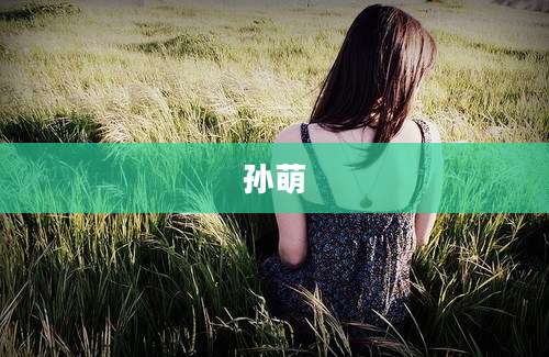 孙萌