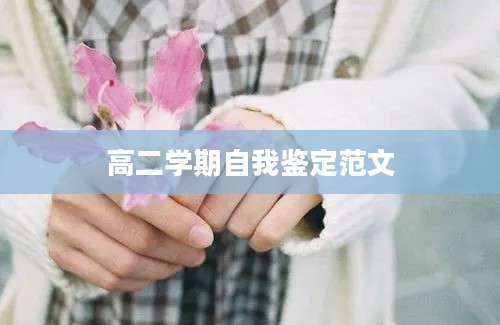 高二学期自我鉴定范文