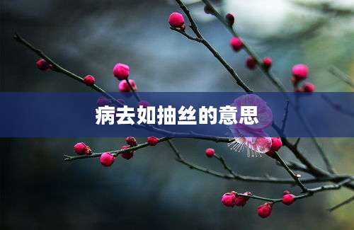 病去如抽丝的意思