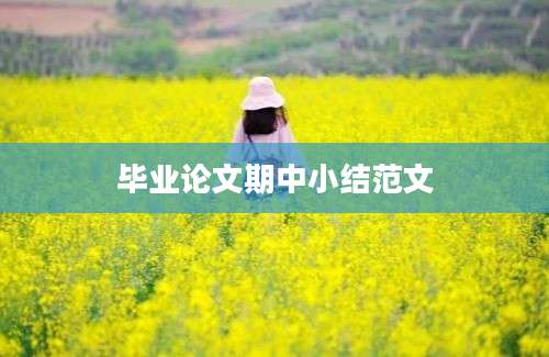 毕业论文期中小结范文