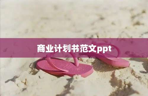 商业计划书范文ppt