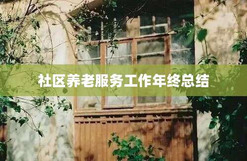 社区养老服务工作年终总结