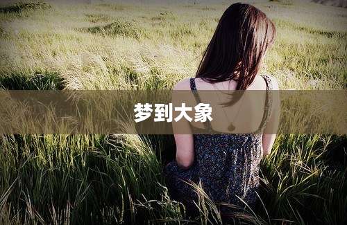 梦到大象