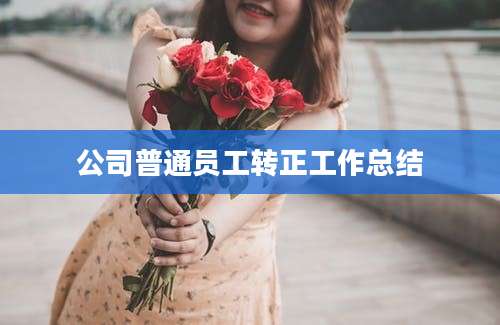 公司普通员工转正工作总结