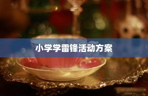 小学学雷锋活动方案