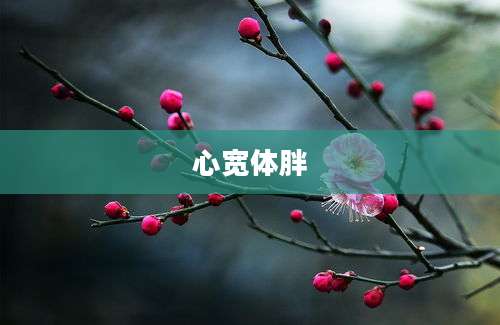心宽体胖