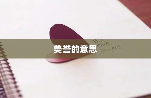 美誉的意思