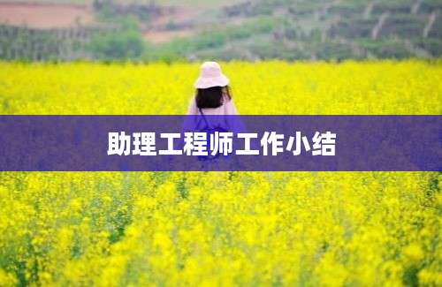 助理工程师工作小结