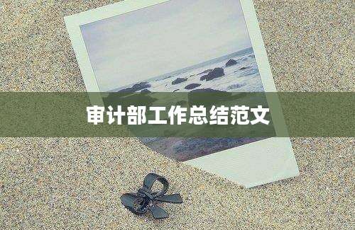 审计部工作总结范文