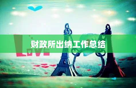 财政所出纳工作总结