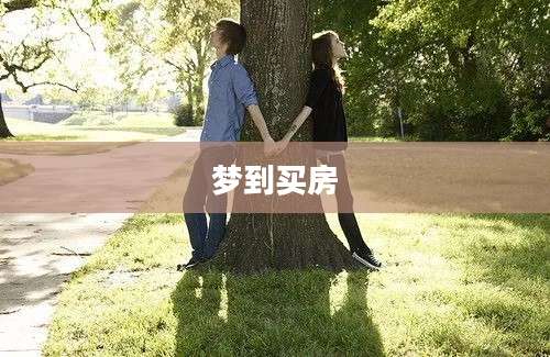 梦到买房