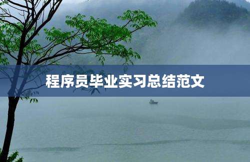 程序员毕业实习总结范文