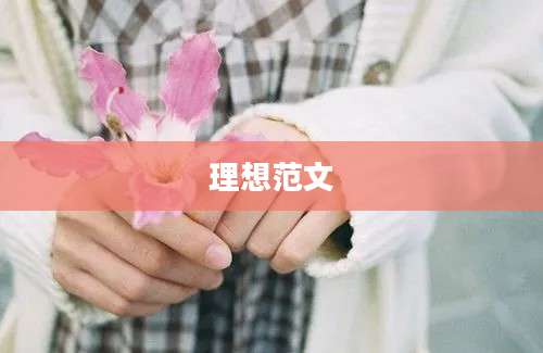 理想范文