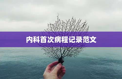 内科首次病程记录范文