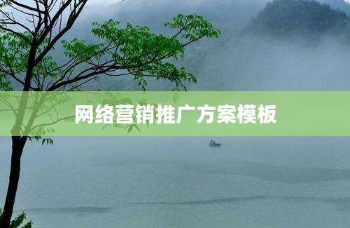 网络营销推广方案模板