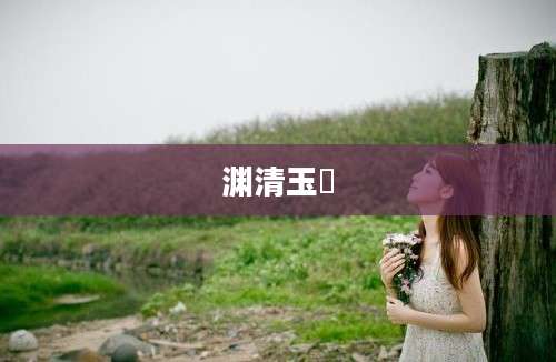 渊清玉絜