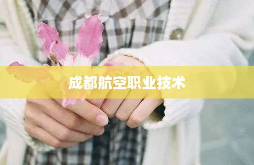 成都航空职业技术