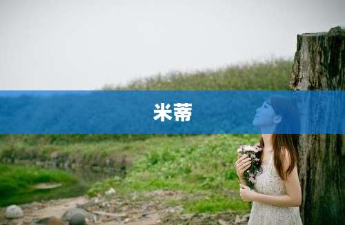 米蒂