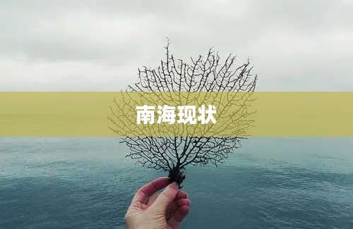 南海现状
