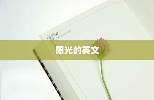 阳光的英文