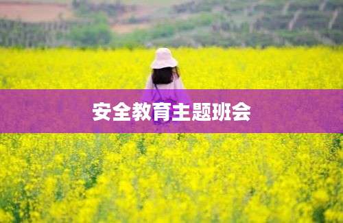 安全教育主题班会